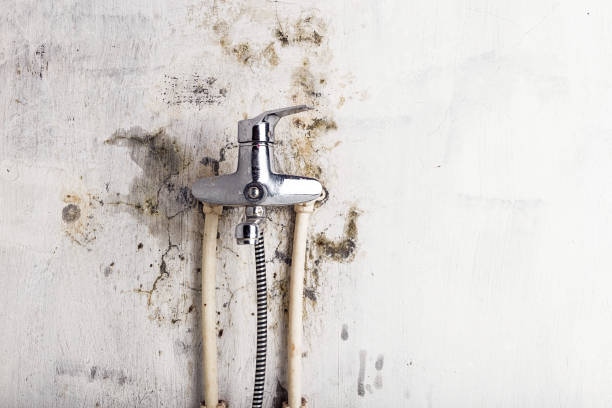 Best Post-Flood Mold Remediation in Clyde, TX
