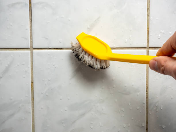 Best Mold Remediation for Specific Building Types in Clyde, TX