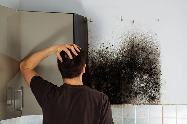 Best Bathroom Mold Remediation in Clyde, TX